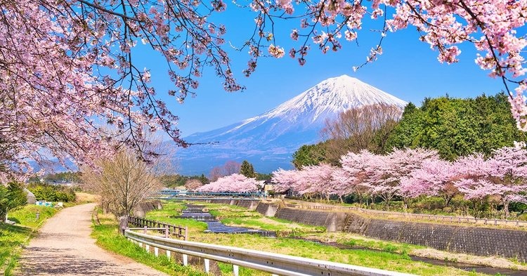 Tour Nhật Bản Ngắm Hoa Anh Đào: Nagoya - Osaka - Kyoto - Núi Phú Sĩ - Tokyo